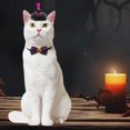 thumbnail image 5 of Under $1 Halloween Cat Costume Halloween Witch Hat and Collar Pet Costume for Dog Cats Holiday Cat Outfit Clothing for Birthday Party Thanksgiving Christmas, 5 of 6