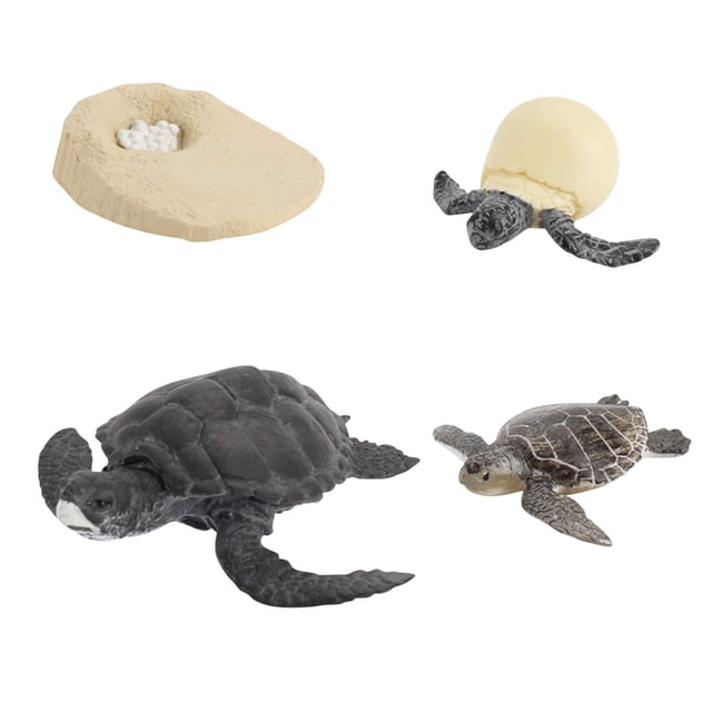 Plastic Animals Figures 4 Piece Insect Figure Animal Life Cycle Plastic Brood to Mature Period