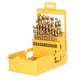 thumbnail image 2 of Juego de brocas DEWALT DW1969 de 29 piezas Pilot Point con índice metálico, 2 of 4
