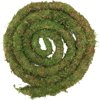 Moss Vine for Reptiles, Bendable Climbing Vines Reptile Tank Accessories, Natural Moss Rope for Terrarium Decor