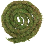 Moss Vine for Reptiles, Bendable Climbing Vines Reptile Tank Accessories, Natural Moss Rope for Terrarium Decor