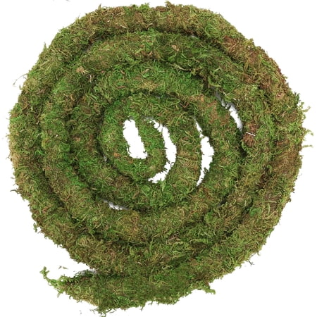 Moss Vine for Reptiles, Bendable Climbing Vines Reptile Tank Accessories, Natural Moss Rope for Terrarium Decor
