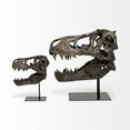 thumbnail image 6 of Mercana Jurassic 11.8"H  Black and Brown Resin Replica Tyrannosaurus Skull, 6 of 9