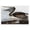 Pelican Beach Seascape, variant on Stupell Industries White Pelicans Flock Animals & Insects Painting Black Floater Framed Canvas Art Print Wall Art, 25 x 17