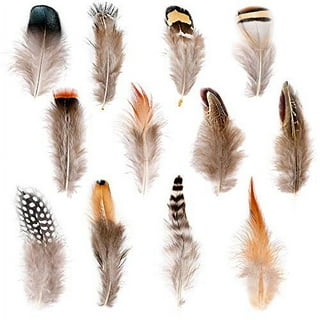 Ballinger Black Craft Feathers Bulk - 120Pcs 6-8 Inch Real Goose Feathers  for DIY Halloween Decorations, Jewelry,Cosplay and Clothing Accessories
