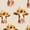 Color 1, variant on Peel and Stick Wallpaper Cute Highland Cow Brown Fluffy Cattle Minimal Botanical Wall Mural 17.7in x 9.8ft Self Adhesive Removable Wall Paper Renter Friendly Wallpaper for Nursery Bedroom Cabinets