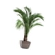 thumbnail image 4 of Pegatinas de pared de plantas en 3D, pegatinas de pared de plantas en macetas, pegatinas de pared de hojas de PVC para la cocina, el, 4 of 9