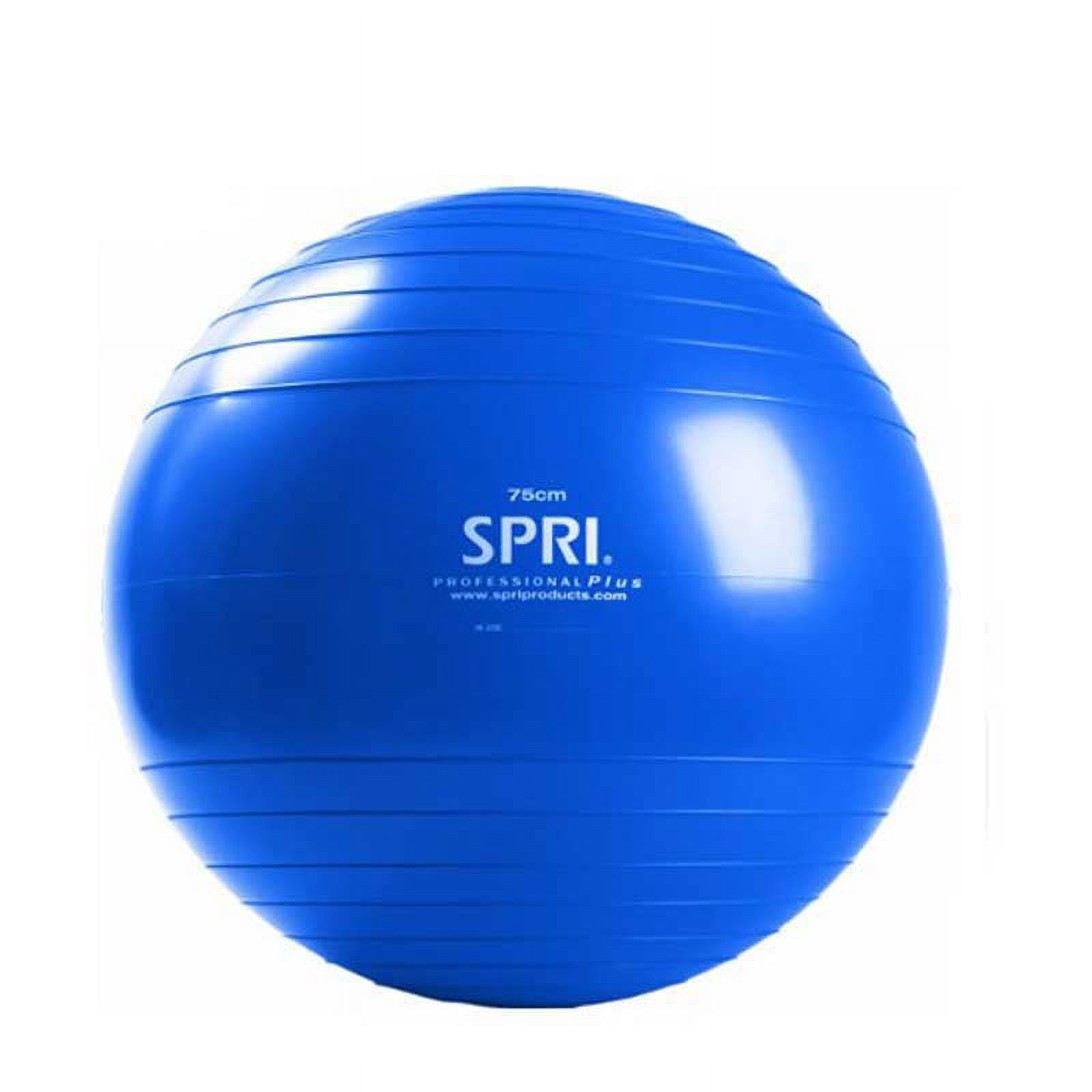 SPRI Xercise Ball, 75cm- Blue - Walmart.com