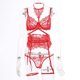 thumbnail image 1 of Conjunto de tres piezas de ropa interior con tirantes para colgar en el cuello y costuras de encaje para mujer, 1 of 6