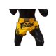 thumbnail image 4 of Fairtex Slim Cut Muay Thai Boxing Shorts - BS1701 (Yellow/Black, Medium), 4 of 7