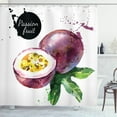 thumbnail image 1 of Ambesonne Fruit Shower Curtain, Watercolor Exotic Design, 69"Wx84"L, Purple Green and Black, 1 of 3