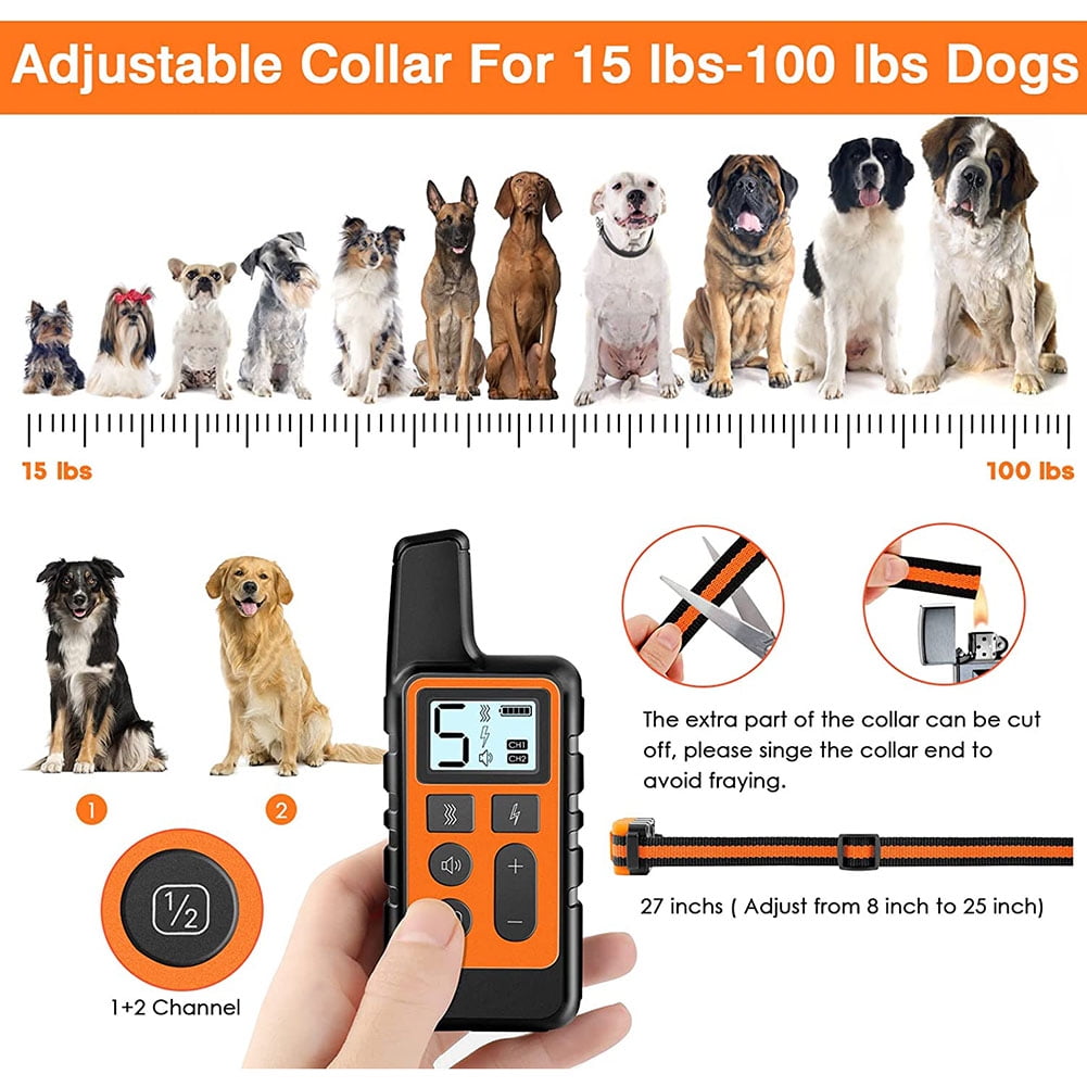 Do Training Collars Hurt Dogs