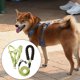 thumbnail image 5 of de Correas de Arnés para Perros Transpirables - Cuerda de para Espalda Del Pecho Arneses para Mascotas Chaleco para Viajes Suministr - M Colco Chaleco de arnés para cachorros, 5 of 8