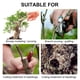 thumbnail image 2 of Crema curativa para heridas de injerto de árboles, pasta cortada para bonsái, agente de poda, sellador compuesto para plantas de jardín doméstico (100g + cepillo) ER, 2 of 5