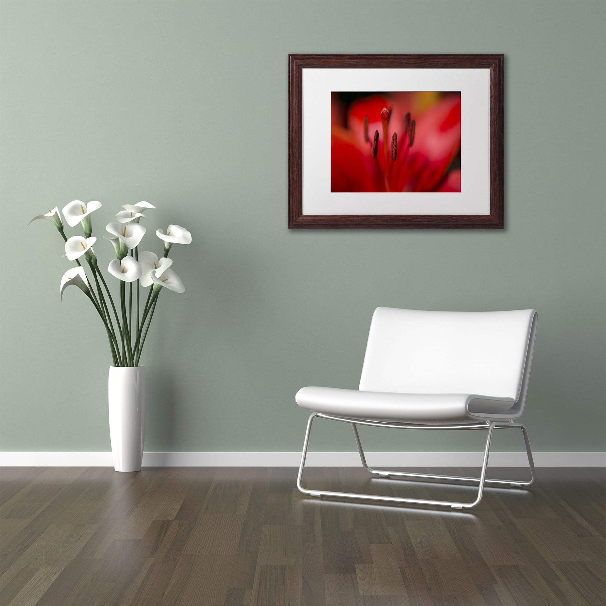 Trademark Fine Art "Red Lily Pistils" Canvas Art by Kurt Shaffer, White Matte, Wood Frame
