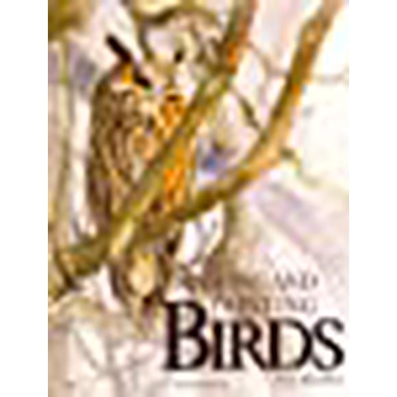 Drawing and Painting Birds