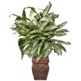 thumbnail image 4 of Silver Queen w/Decorative Planter Silk Plant, 4 of 4
