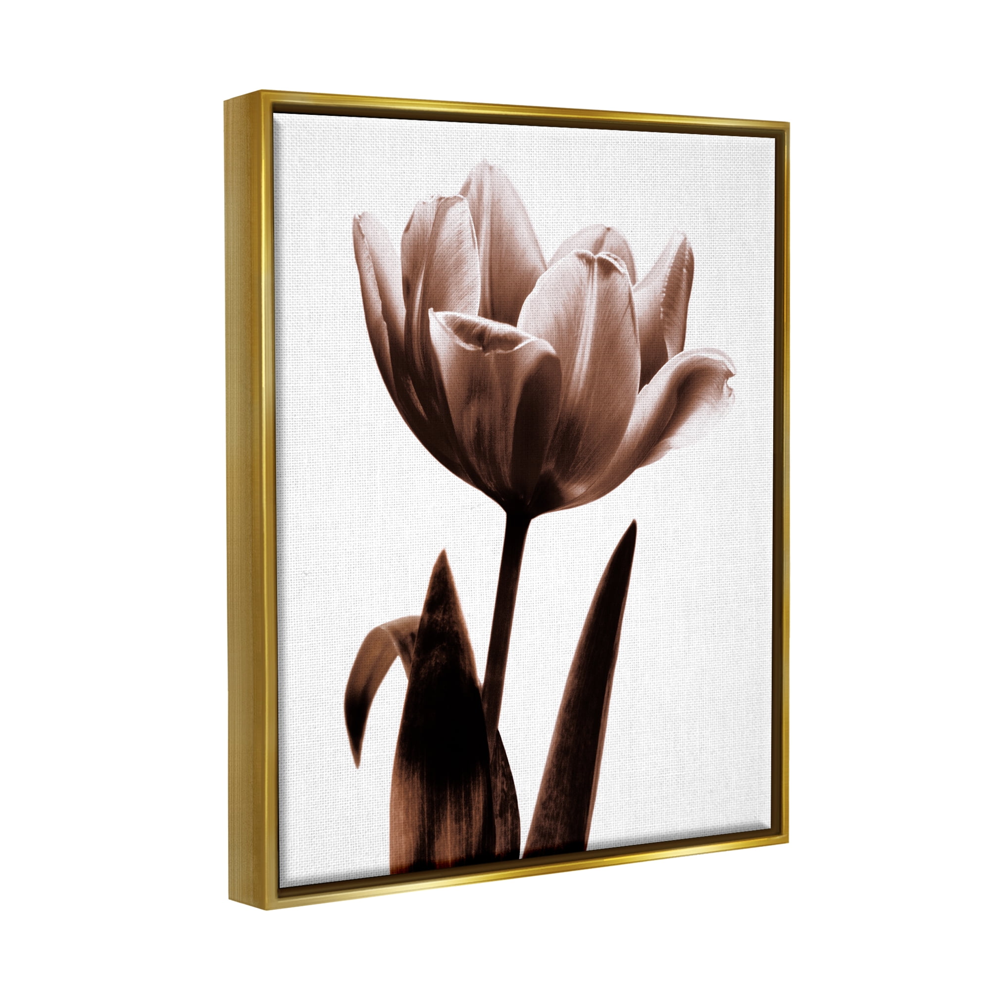 Stupell Blooming Tulip Silhouette Botanical & Floral Photography Gold Floater Framed Art Print Wall Art