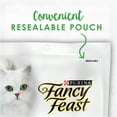 thumbnail image 6 of Purina Fancy Feast With Ocean Fish & Salmon and Accents of Garden Greens Dry Cat Food, 3 LB (Pack of 4), 6 of 8