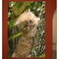 thumbnail image 2 of Wallhogs Cat I Glossy Wall Mural (48"Hx32"Wx0.1"D), 2 of 2