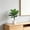 Green Size B M6, variant on Artificial Tree Tall Potted, Rvkxad Realistic Wooden Trunk Artificial, No Maintenance Lifelike Green Plastic Tree for Living Room Modern Floor Decoration Indoor Corner Decor