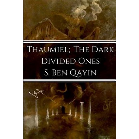 Pre-Owned Thaumiel; The Dark Divided Ones (Paperback)