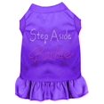 thumbnail image 1 of Step Aside Barbie Rhinestone Dress Purple Sm (10), 1 of 1