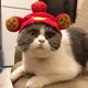 thumbnail image 1 of Cómoda gorra de poliéster para gatos y perros, adorable y portátil, ligera para mascotas, 1 of 5