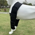 thumbnail image 3 of tredstone Shoulder And Elbow Protection For Dogs Convenient And Durable Effective Polyester Dog Elbow Protector Brace Protector Black S 1Set, 3 of 6