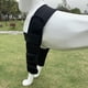 thumbnail image 3 of Greeniant Protector antibacteriano negro del codo del perro protección confiable para el hombro del protector del soporte del perro negro L Type3 NO3, 3 of 6