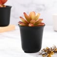 24 pcs Plastic Succulent Pots Small Flower Pots Indoor Succulent