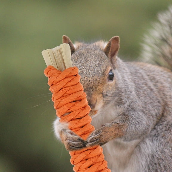 Niceauty 2 Sets Hamster Chewing Toys Assorted Color Wood Teeth Cleaning for Pet Owners