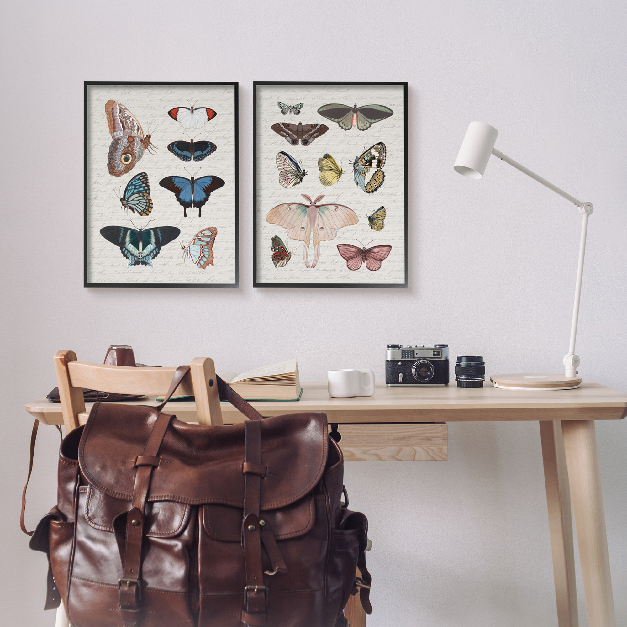 Stupell Industries Vintage Butterflies & Moths Animals & Insects Painting Black Framed Art Print Wall Art, 16 x 20