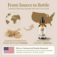thumbnail image 6 of Organic Cold-Pressed Wheat Germ Oil 100% Pure Skin Hair Face Anti-Aging, 6 of 8