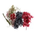 thumbnail image 2 of Flores secas das reales hojas multicolor de teléfono de jabón sol Zulema  flores de hojas secas naturales, 2 of 7