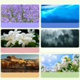 thumbnail image 3 of HUGFEGWE Automatic Aromatherapy Diffuser,Digital Display Version of Aroma Diffuser,Five Speeds Adjustable, Six Scent Optional,Replaceable Scent Diffusers for Home, Essential Oil Diffuser (Hilton), 3 of 7