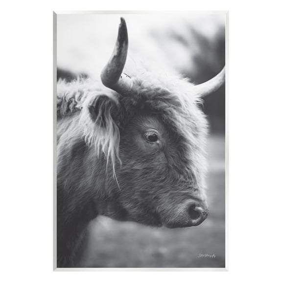 Stupell Close Up Cattle Face Photography Animals & Insects Photography Wall Plaque Unframed Art Print Wall Art