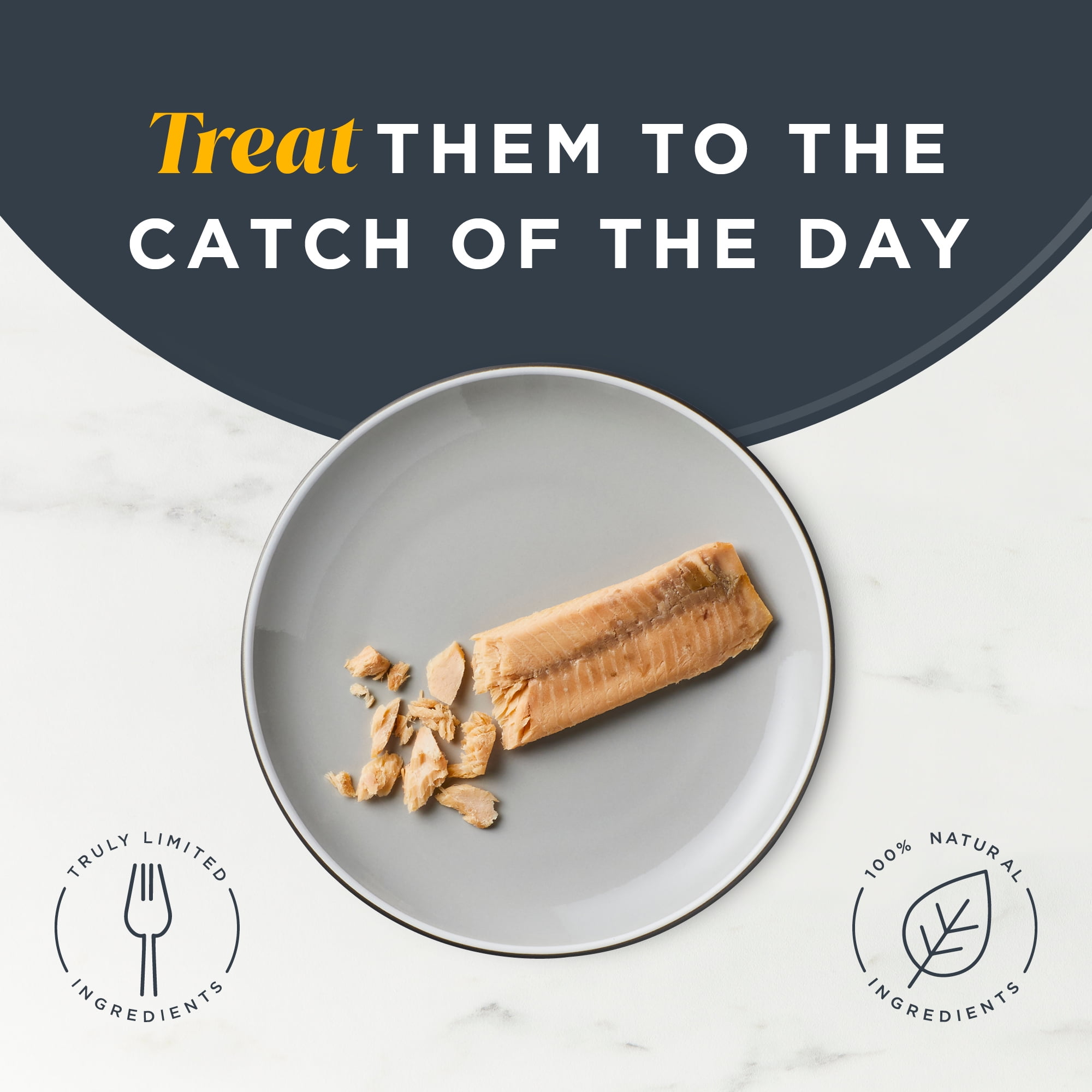 Reveal Pet Food Whole Salmon Loin Cat Treat, Natural Grain Free Wet Food, 12 Ct 1.06 oz Pouches