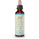 thumbnail image 1 of Bach Flower Essences  Chicory | Achicoria, 20 ml (0,7 oz. líq.), 1 of 7