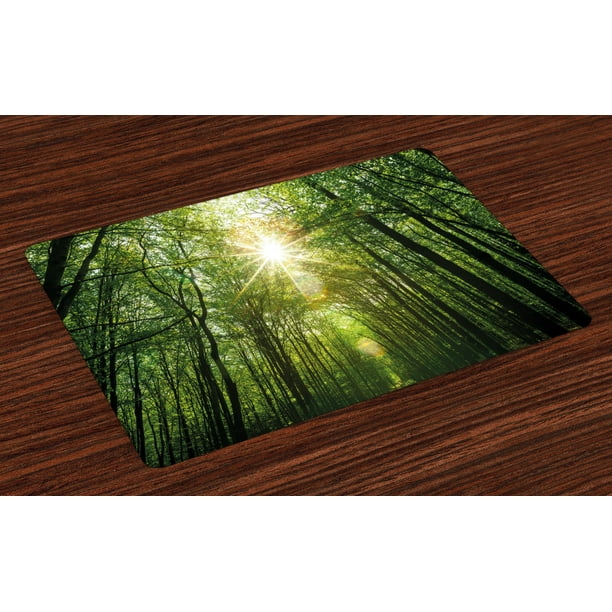 Forest Placemats Set of 4 Summer Trees Upward View with Sunrays Leaking ...