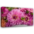 thumbnail image 1 of Maureen Love 24x17 Gallery Wrapped Canvas Wall Art Titled - Purple Dalhia I, 1 of 4