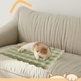 thumbnail image 5 of Thick Self-Warming Pet Pad - Heating Thermal Mat for Dogs & Cats, Soft Warm Blanket for Feral & Indoor Pets, Durable Comfortable Pet Bed Mat, 19.69*13.78in, Green, 5 of 6