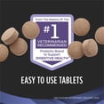 thumbnail image 6 of Purina Pro Plan Veterinary Supplements FortiFlora Chewable Dog Probiotic Tablets 90 ct. Canister (2-Pack), 6 of 7