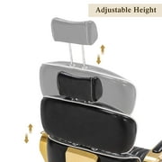 BarberPub Vintage Salon Chair Hydraulic Beauty Spa Styling Golden 3078