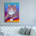 thumbnail image 5 of Epic Graffiti 'Rainbow Brown and White Tabby Cat' by Rebecca Wang Art, Acrylic Glass Wall Art, 40"x54", 5 of 8