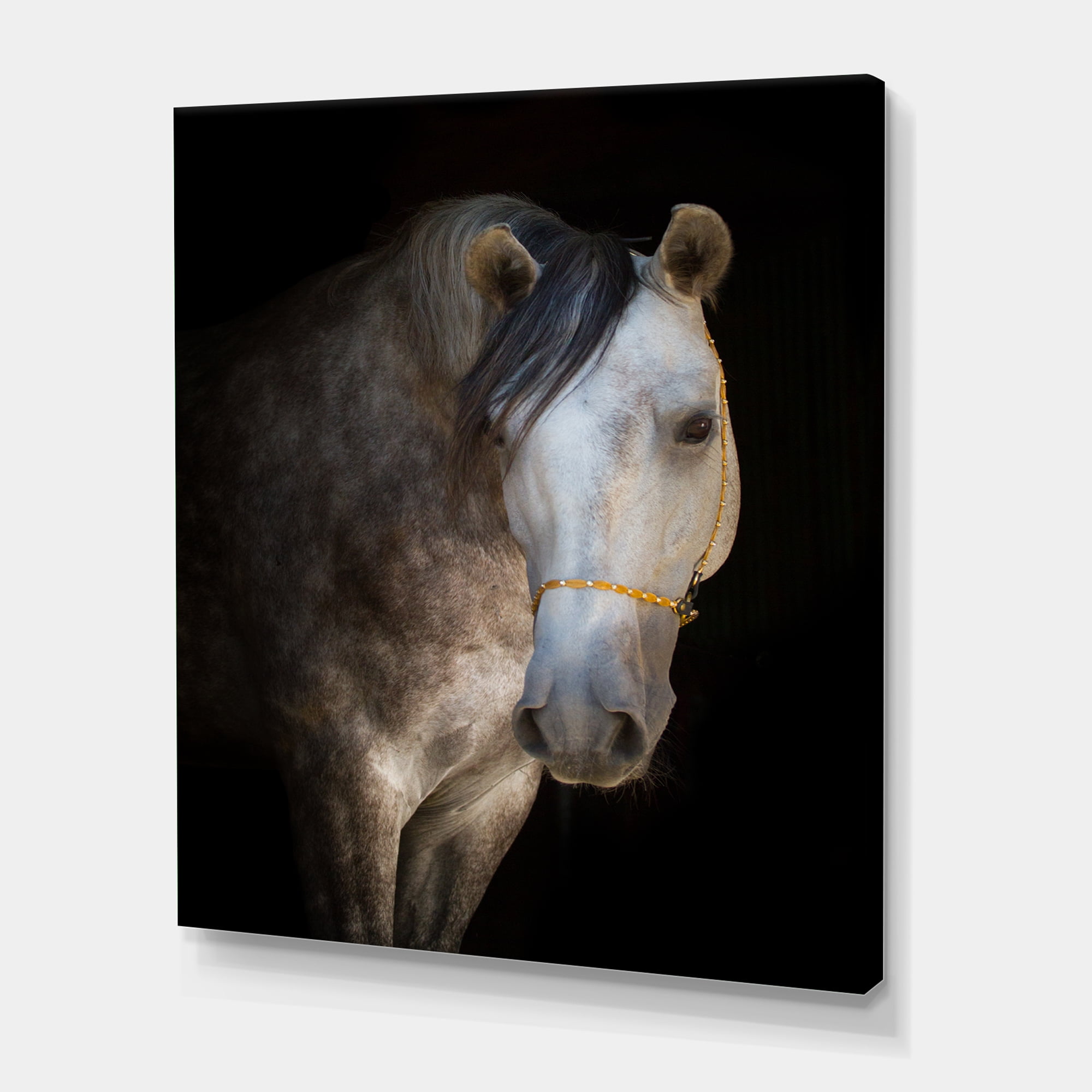 Designart ' Close Up Portrait Of A White Horse ' Farmhouse Canvas Wall Art Print