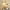 Yellow, variant on Gold Floor Lamp for Living Room Arc Floor Lamp with Remote Control & 3 Color Temperature,Modern Flower Lamp with Glass Lampshade Dimmable Vintage Standing Lamp Tall Lamp for Bedroom Corner