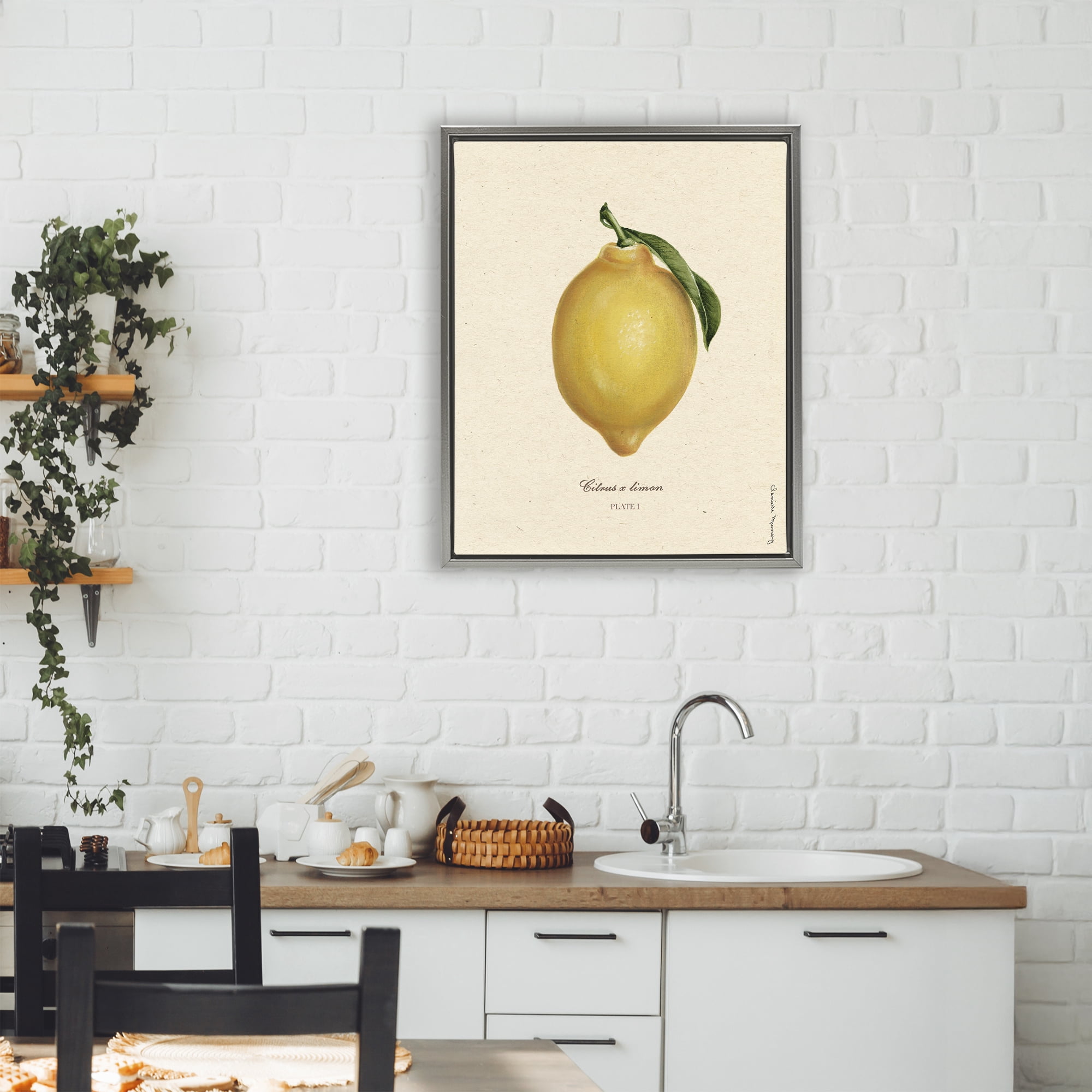 Stupell Industries Lemon Fruit Portrait Gray Framed Floater Canvas Wall Art, design by Danielle Murray