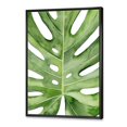 thumbnail image 2 of Designart Green Monstera Leaf Tropical Palm Botanical Detail FLOAT FRAME WALL ART, 2 of 4