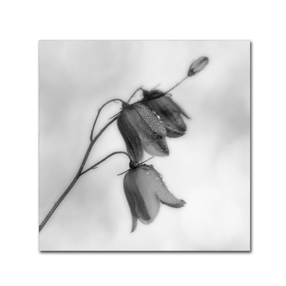 Bjorn Emanuelson 'Autumn Dew' Canvas Art